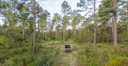 Meadow Creek Plantation
