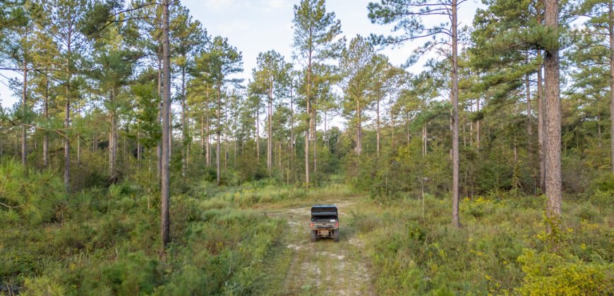 Meadow Creek Plantation