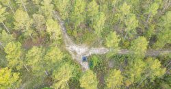 Meadow Creek Plantation
