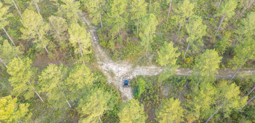 Meadow Creek Plantation