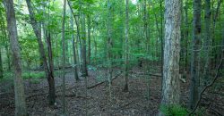 Limestone Creek Farm