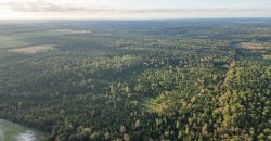 Meadow Creek Plantation