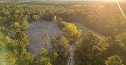 Meadow Creek Plantation