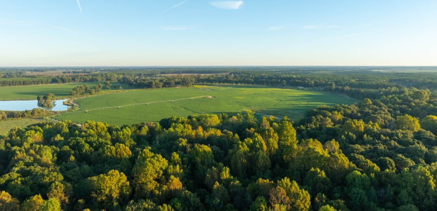 Limestone Creek Farm