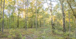 Meadow Creek Plantation