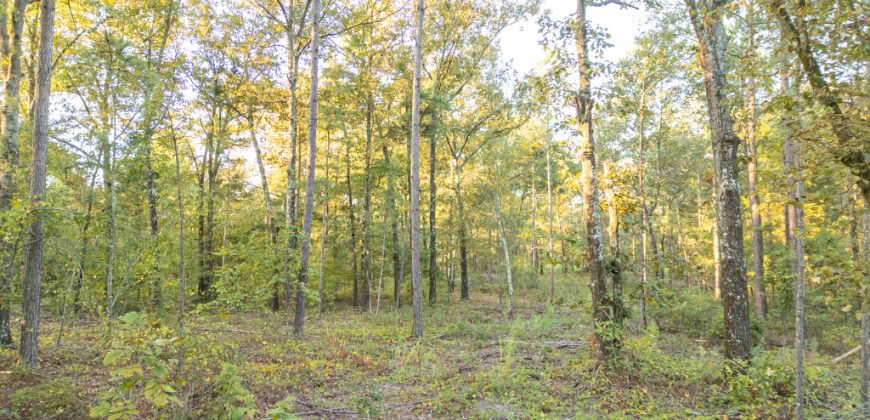 Meadow Creek Plantation