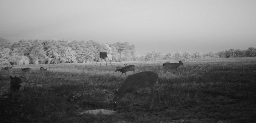 Meadow Creek Plantation