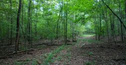 Limestone Creek Farm