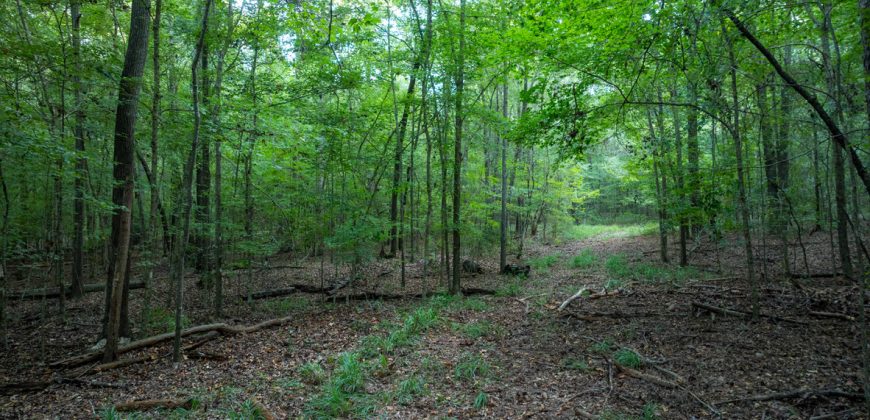 Limestone Creek Farm