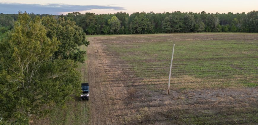 Meadow Creek Plantation