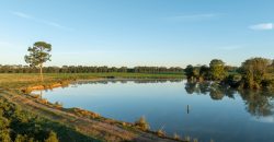 Limestone Creek Farm