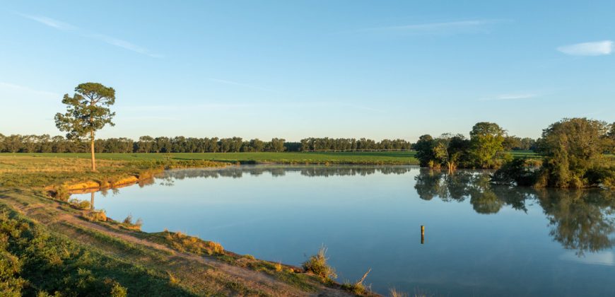Limestone Creek Farm