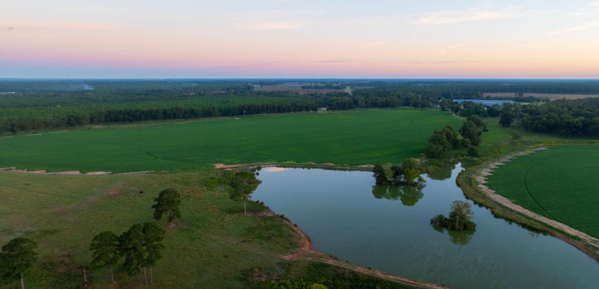 Limestone Creek Farm