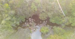 Meadow Creek Plantation