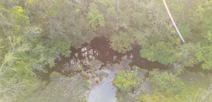 Meadow Creek Plantation