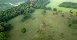 Limestone Creek Farm