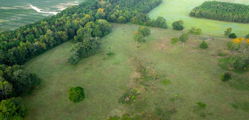Limestone Creek Farm