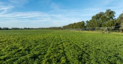 Limestone Creek Farm