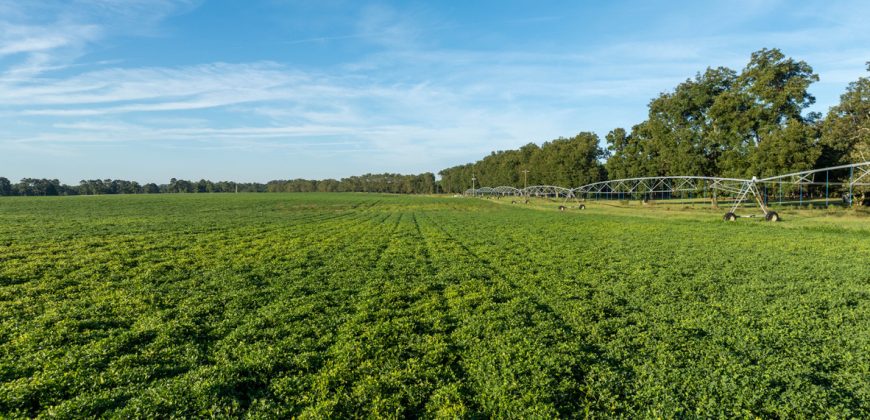 Limestone Creek Farm