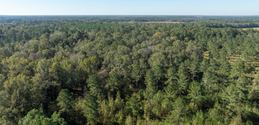 Rut Property