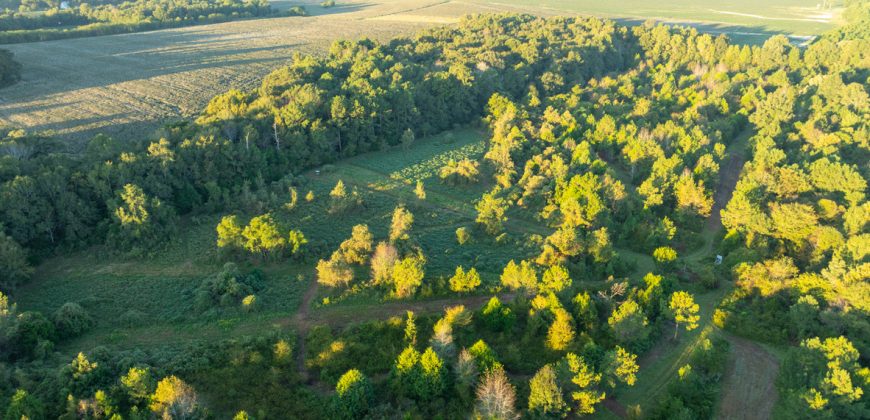 Limestone Creek Farm
