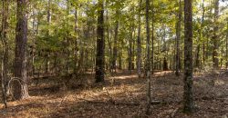 Rut Property