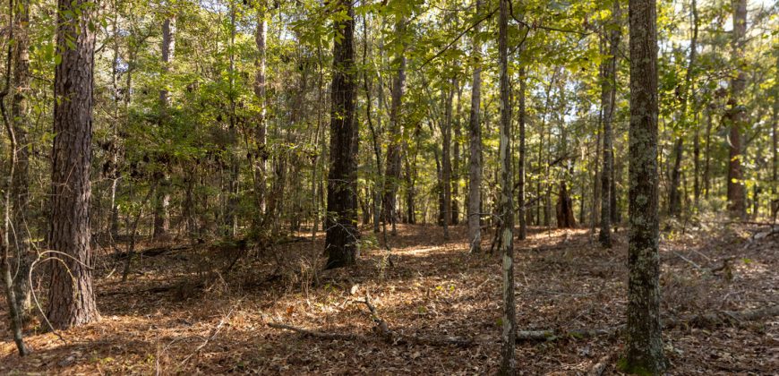 Rut Property