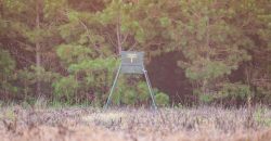 Meadow Creek Plantation