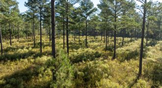 Rut Property