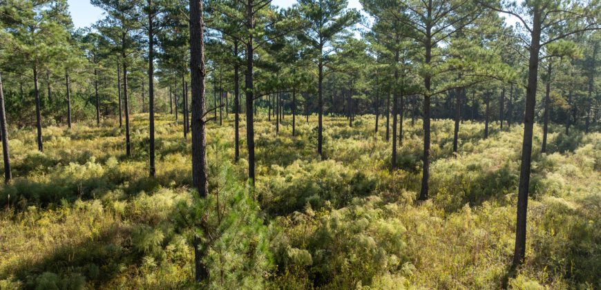 Rut Property