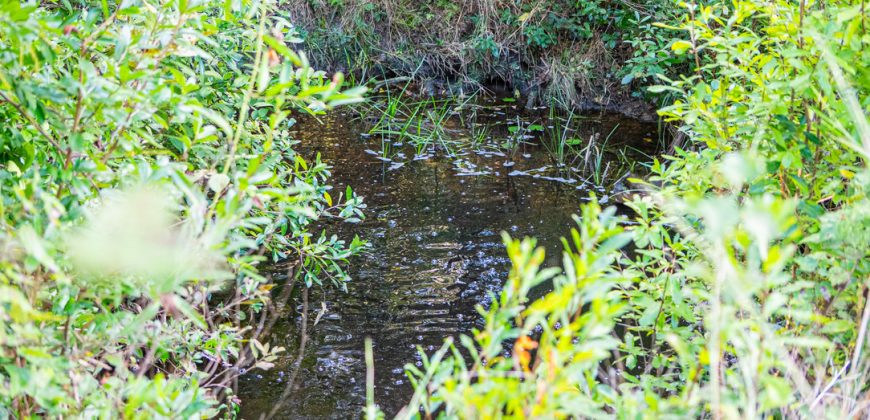 Meadow Creek Plantation