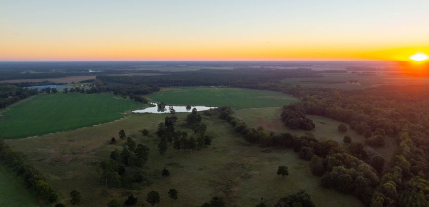 Limestone Creek Farm