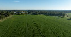 Limestone Creek Farm