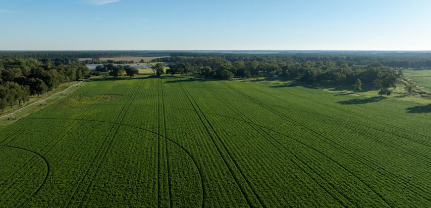 Limestone Creek Farm