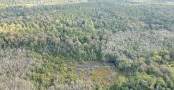 Meadow Creek Plantation