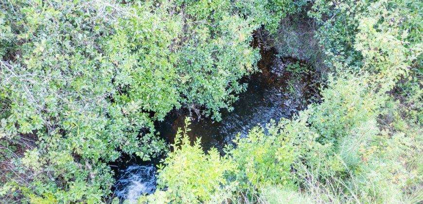 Meadow Creek Plantation