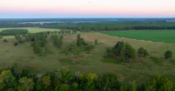 Limestone Creek Farm