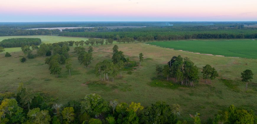 Limestone Creek Farm