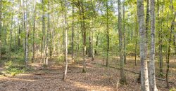 Meadow Creek Plantation