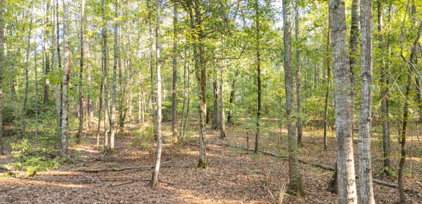 Meadow Creek Plantation