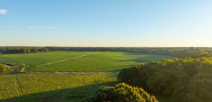 Limestone Creek Farm