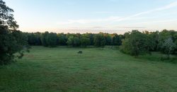 Limestone Creek Farm