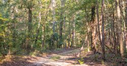 Meadow Creek Plantation