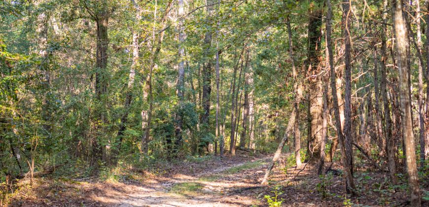 Meadow Creek Plantation