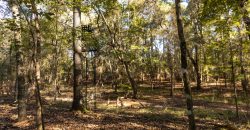 Rut Property