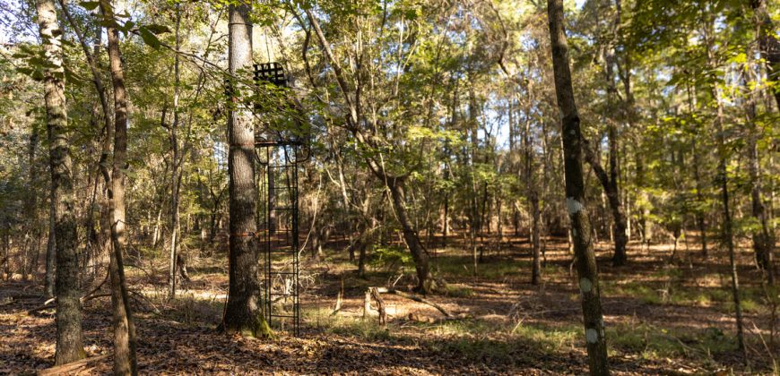 Rut Property