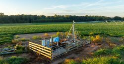 Limestone Creek Farm