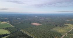 Meadow Creek Plantation