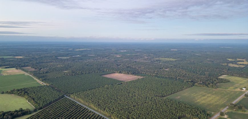 Meadow Creek Plantation