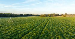 Limestone Creek Farm